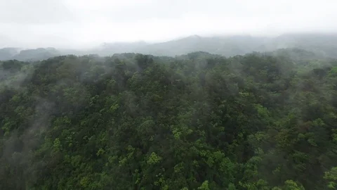 Drone shot over a mountain covered by a forest Stock Footage 85814095
