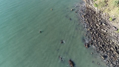Drone Shot Over Ocean, Kayaks and Fast Boat Stock Footage
