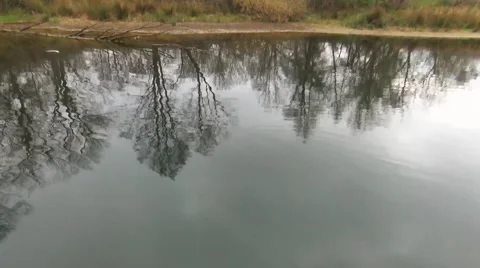 Drone Shot over River and crash Stock Footage 49405435