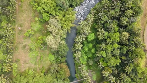 Drone shot over river bank curve with turquoise flowing water Stock Footage 251695738