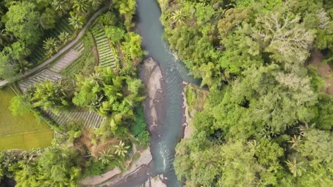 Drone shot over river bank curve with turquoise flowing water Stock Footage 251695770