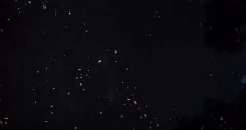 Drone Shot Over A River Stock Footage 122451475