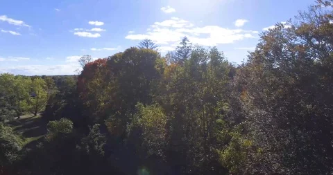Drone shot over scenic new england trees in fall Stock Footage 91474480