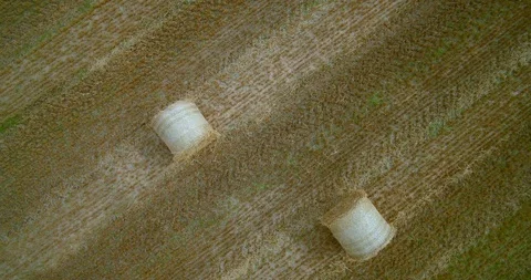 Drone Shot Over A Straw Field Stock Footage 128061871