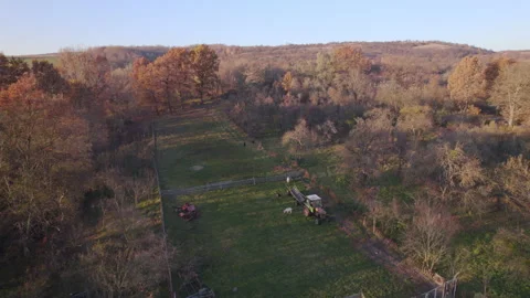 Drone shot over tractor and sheep eating grass in a meadow during autumn 4k Stock Footage 165684666