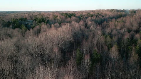 Drone Shot Over The Tree Tops Stock Footage 266464229