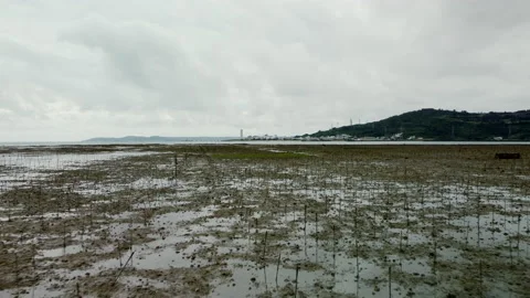 Drone Shot Over Wetland on a Cloudy Day 스톡 동영상 196961008