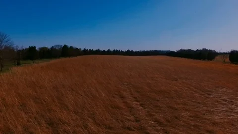 Drone Shot over wheat field in Manassas near 66 Stock Footage 88723910