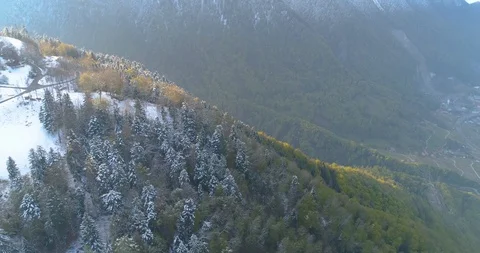Drone shot over winter pine forest with light beam Stock Footage 117354880