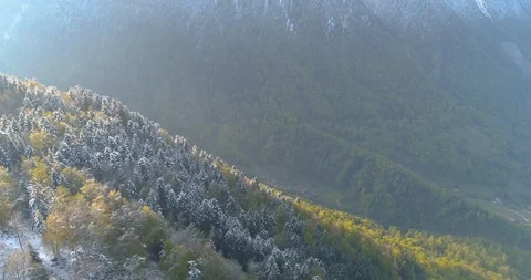 Drone shot over winter pine forest with light beam Stock-Footage 117355141