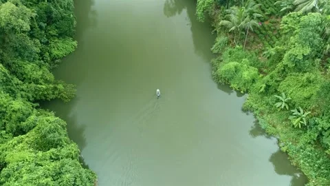 Drone shot of a Paddle Board On Jungle River Stock Footage 248779260