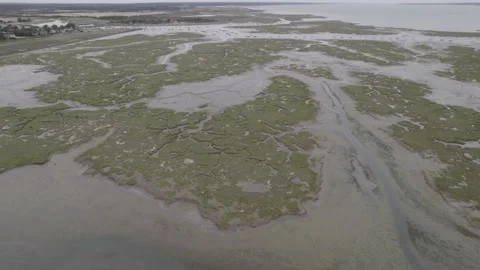 Drone shot panning up and looking down onto a marsh Stock Footage 230272590