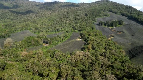 Drone shot parallel movement over Guatemalan plantations and adjacent forest Stock Footage 333160031
