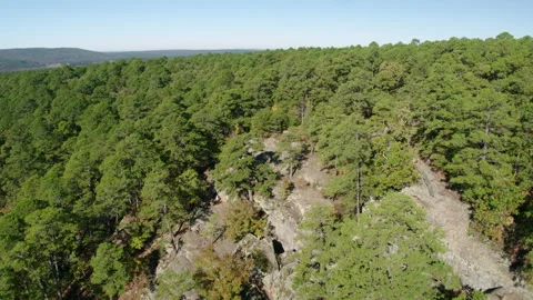 Drone Shot Passing Over a Beautiful Forest and Cliff Stock Footage 149449869