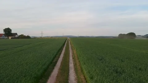 Drone shot, path along a german field, dawn, sunset, horizon 스톡 동영상 131875674