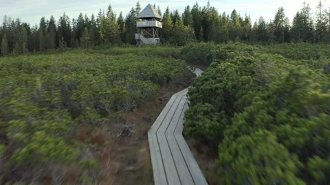 Drone Shot Of Path Leading To Watchtower Stock Footage 136160161