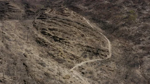 Drone shot of person jogging on a mountain path Stock Footage 190905766