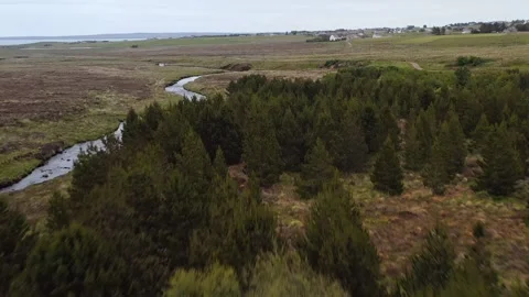 Drone shot of a pine forest in Back in the Hebrides Stock Footage 327525933