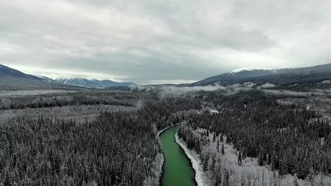 Drone shot of pine forest, a running river and snow-capped mountains in the fog Video stock 119237469