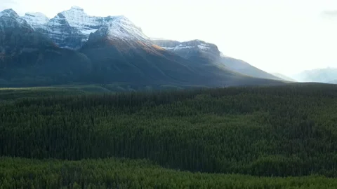  Drone Shot of the pine woods and Scenic Mountain Stock Footage 200356342