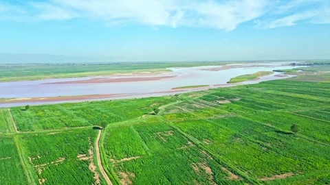 Drone shot of plain rivers - green fields - agricultural rice wetlands Stock-Footage 257905047