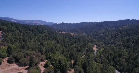 Drone Shot | Pushing in on Hilly Forest | Clear Blue Sky | Redwoods Stock Footage 133208480