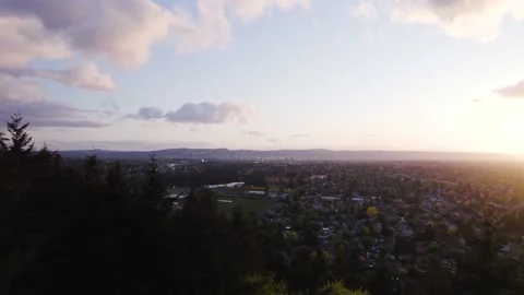 Drone shot pushing through trees overlooking the city during sunset Stock Footage 194446596