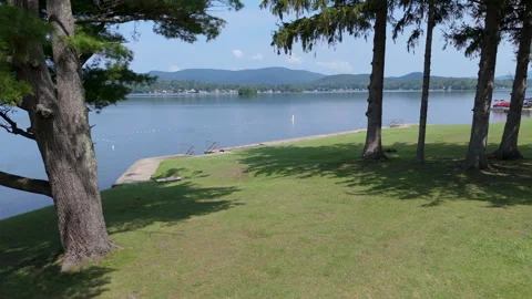 Drone Shot pushing through trees to a Serene Lake. Stock Footage 314745199