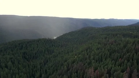 Drone Shot of a Rainforest Vídeo Stock 164926428