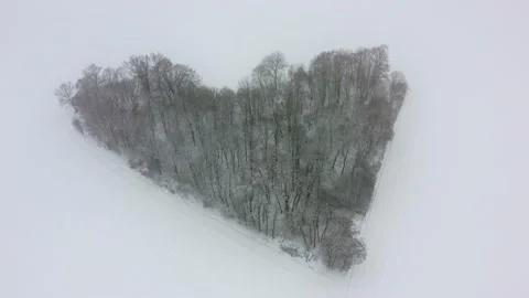 The drone shot on a real heart-shaped forest. Winter Stock Footage 146835541