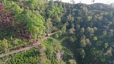 Drone shot of a red bus heading up the mountain road through tea plantations Stock Footage 322184922