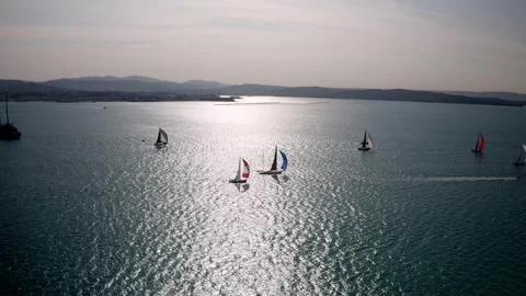 Drone shot of a regatta in Trieste 스톡 동영상 262254319
