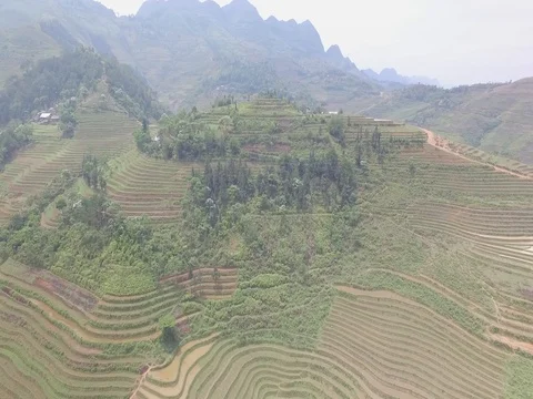 Drone shot: Rice fields at hills of Ha Giang, Vietnam Vídeos de archivo 81824048