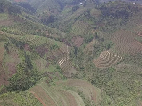 Drone shot: Rice fields at hills of Ha Giang, Vietnam Stock Footage 81824068