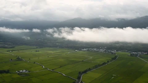Drone shot of rice fields with mountains and moving clouds in background. Stock Footage 239518742
