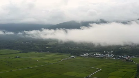Drone shot of rice fields with mountains and moving clouds in background. Stock Footage