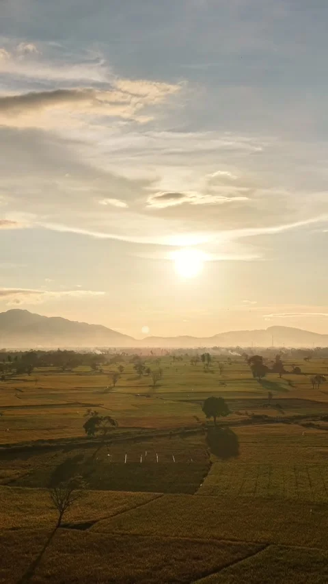 Drone Shot of Rice Fields at Sunset with Dramatic Sky in Aceh Besar Indonesia Vídeos de archivo 336042682