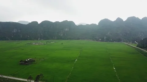 Drone shot of rice fields surrounded by limestone mountains in Ninh Binh Stockbeeldmateriaal 144909666