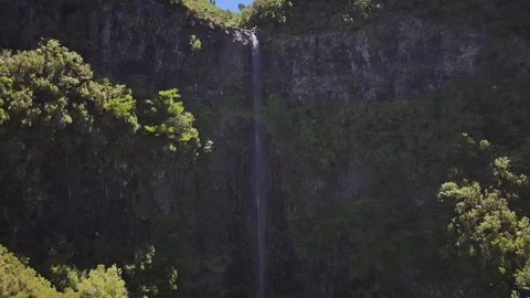 Drone Shot of Risco Waterfall Cascading in Laurel Forest, Levada das 25 Fontes Stock Footage 345019598