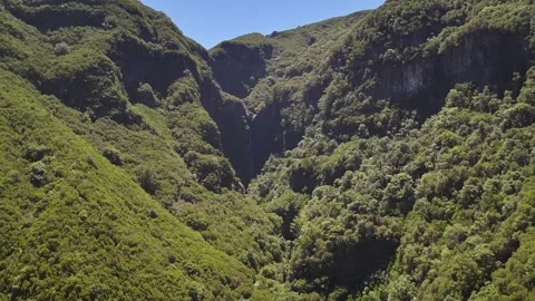 Drone Shot of Risco Waterfall on Levada das 25 Fontes, Lush Madeira Laurel Stock Footage 345019821