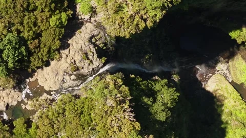 Drone Shot of Risco Waterfall on Levada das 25 Fontes in Lush Madeira Laurel 스톡 동영상 345019949