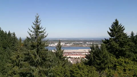 Drone shot rises up from trees revelaing industrail buildings Stock Footage 251745645
