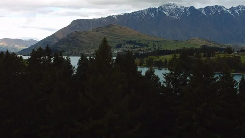 Drone shot rising over trees showing Lake Wakatipu Stock Footage 89866892