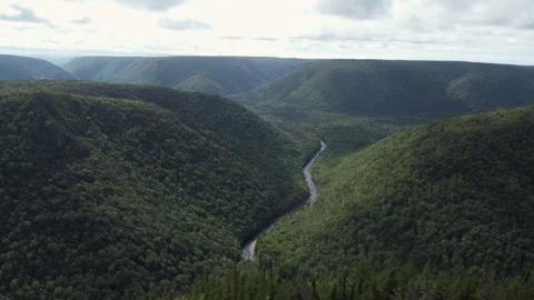Drone shot of a river in a deep canyon gorge at Cape Clear, Nova Scotia Stock Footage 231148427