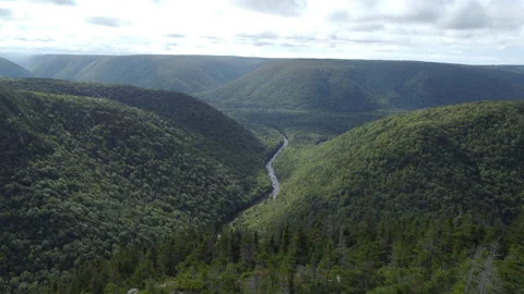 Drone shot of a river in a deep canyon gorge at Cape Clear, Nova Scotia Stock Footage 231148446