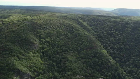 Drone shot of a river in a deep canyon gorge at Cape Clear, Nova Scotia Stock Footage 231148732