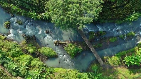 Drone Shot of River Flow with Bridge and Lush Vegetation Stock Footage 309915062
