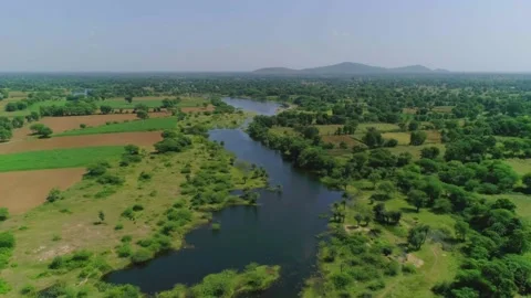 Drone shot river flowing between the fields and village Stock Footage 218288405