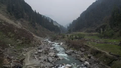 Drone Shot of River Flowing Through a Beautiful Green Valley Video stock 313382420