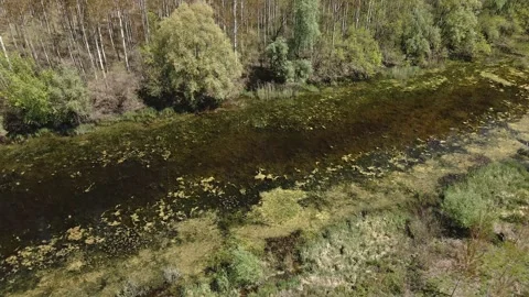A drone shot of a river Stock Footage 253097597